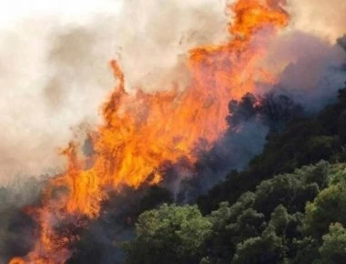 Σε συναγερμό η πυροσβεστική στην Εύβοια – Τρεις πυρκαγιές μέσα σε λίγη ώρα